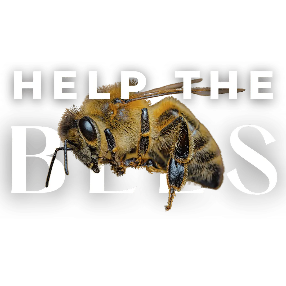 Help the bees